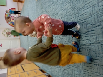 .trashed-1743154457-IMG_20250226_102606