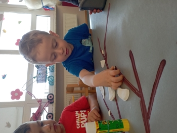 IMG_20250321_085152_1