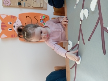 IMG_20250321_085401_1